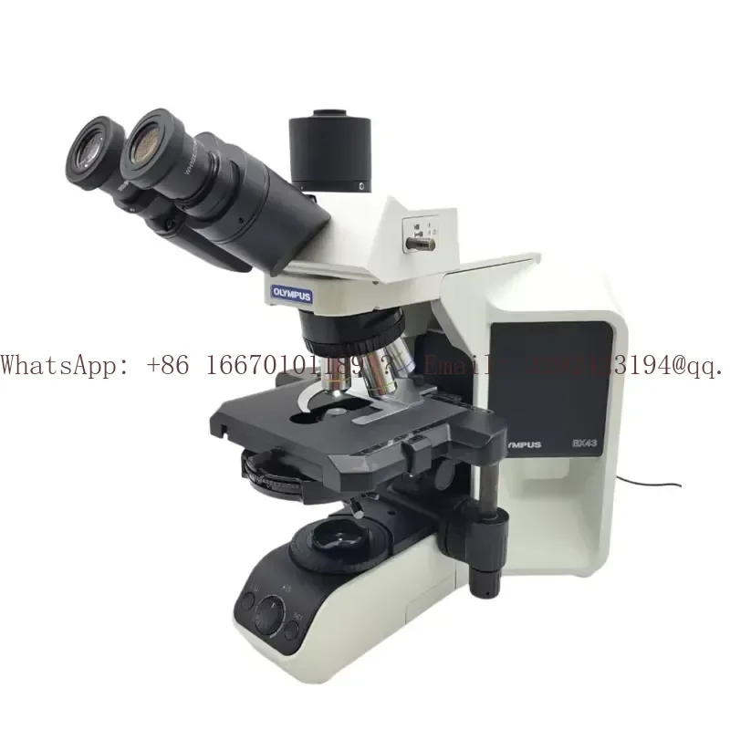 Bx43 Biological Electron Microscope Ready Superior Optics Modular Design 4K Resolution Manual