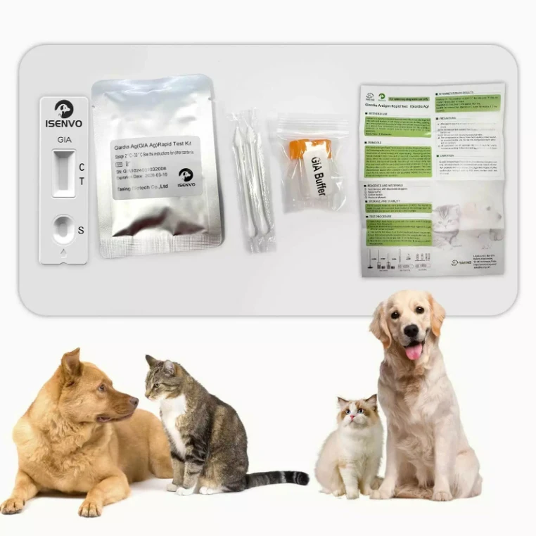 GIA-개 및 고양이 GIARDIA 빠른 가정 건강 테스트 키트, 개 및 고양이용, 10 개