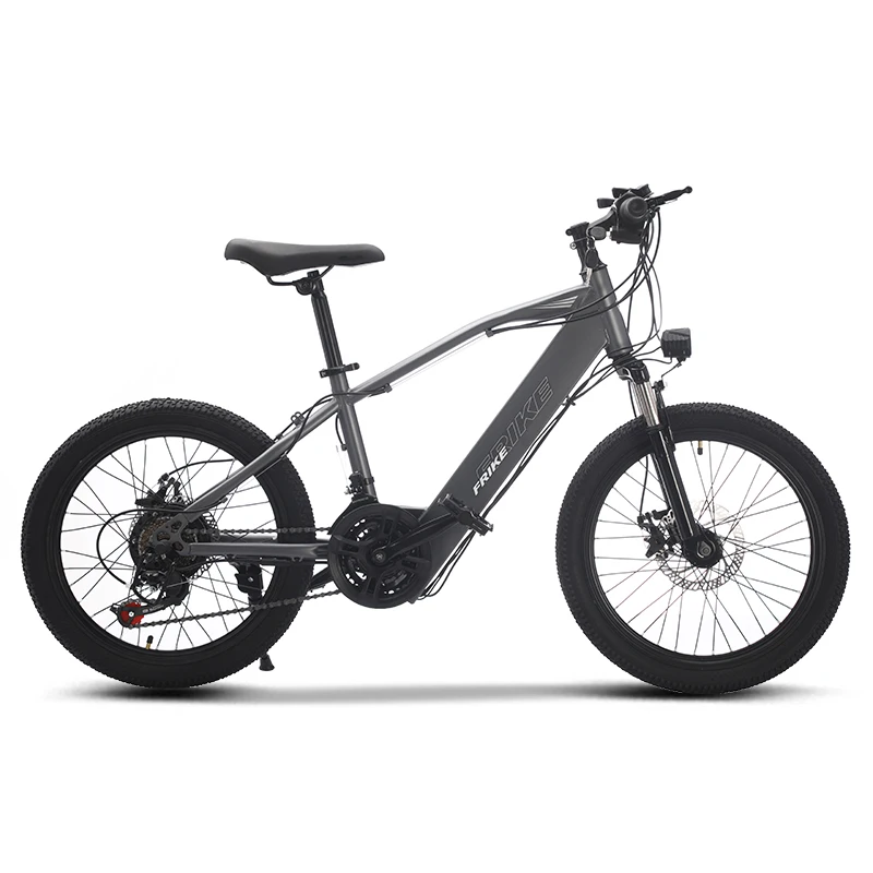 Factory Direct Sales FRIKE Electric Mountain Bike Kids Hot Sale Electric Mountain Bike for Kids Riding Light Mountain E-bike image 5