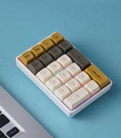 K21 Colourful Lighting Wireless Mechanical Keyboard, BT/2.4Ghz/USB-C, 21-Key, Full Key Hot-Swap for PC Laptops