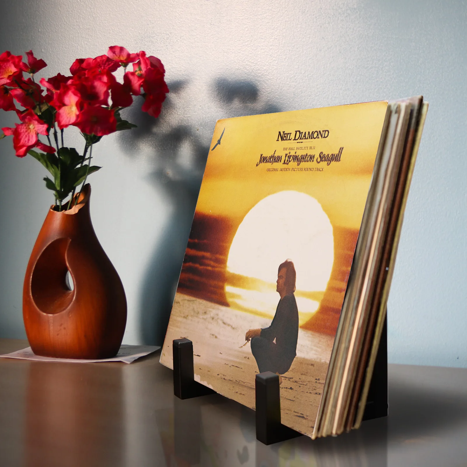 حامل سجل فينيل معدني لتخزين سطح الطاولة بتصميم كلاسيكي بسيط لعرض LP، منظم حامل تسجيلات فينيل صغير