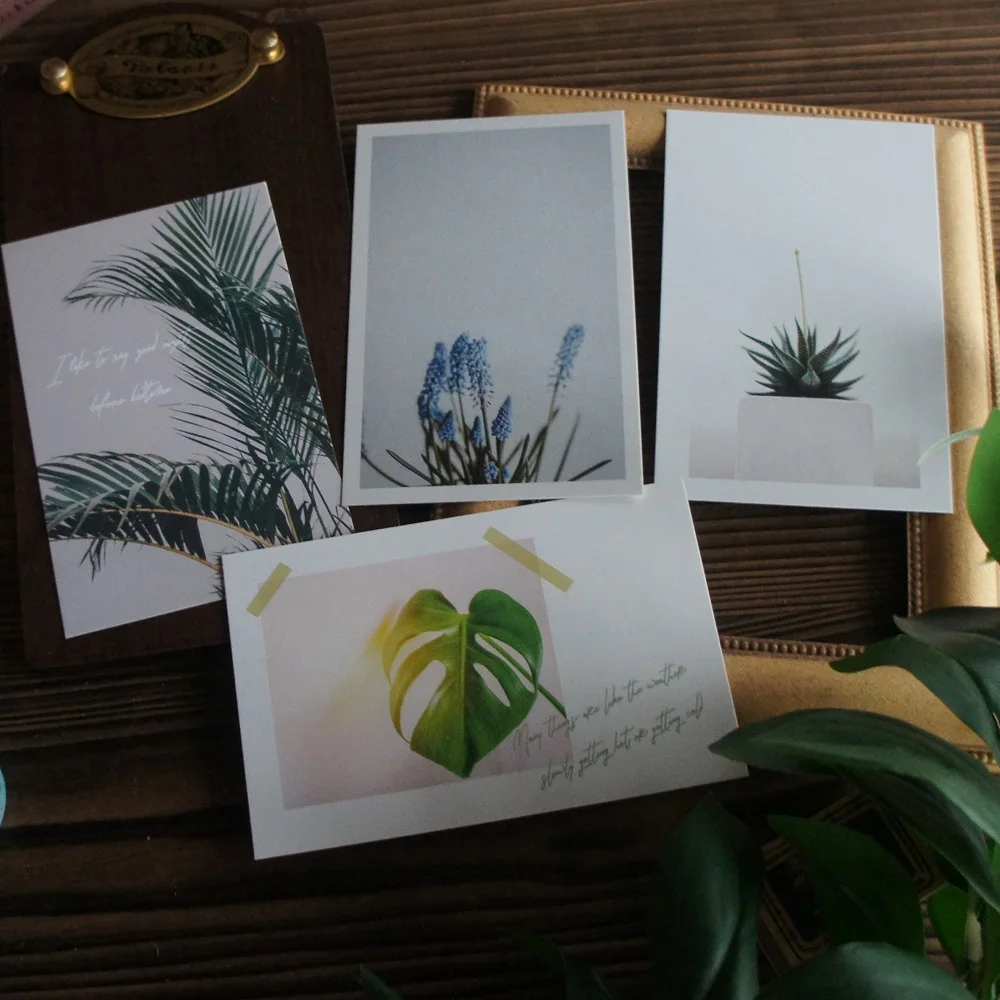 15pcs Sunlight and Green Plants Design Card As Post Card Gift Greeting Gift Card Party Invitation Scrapbooking Use