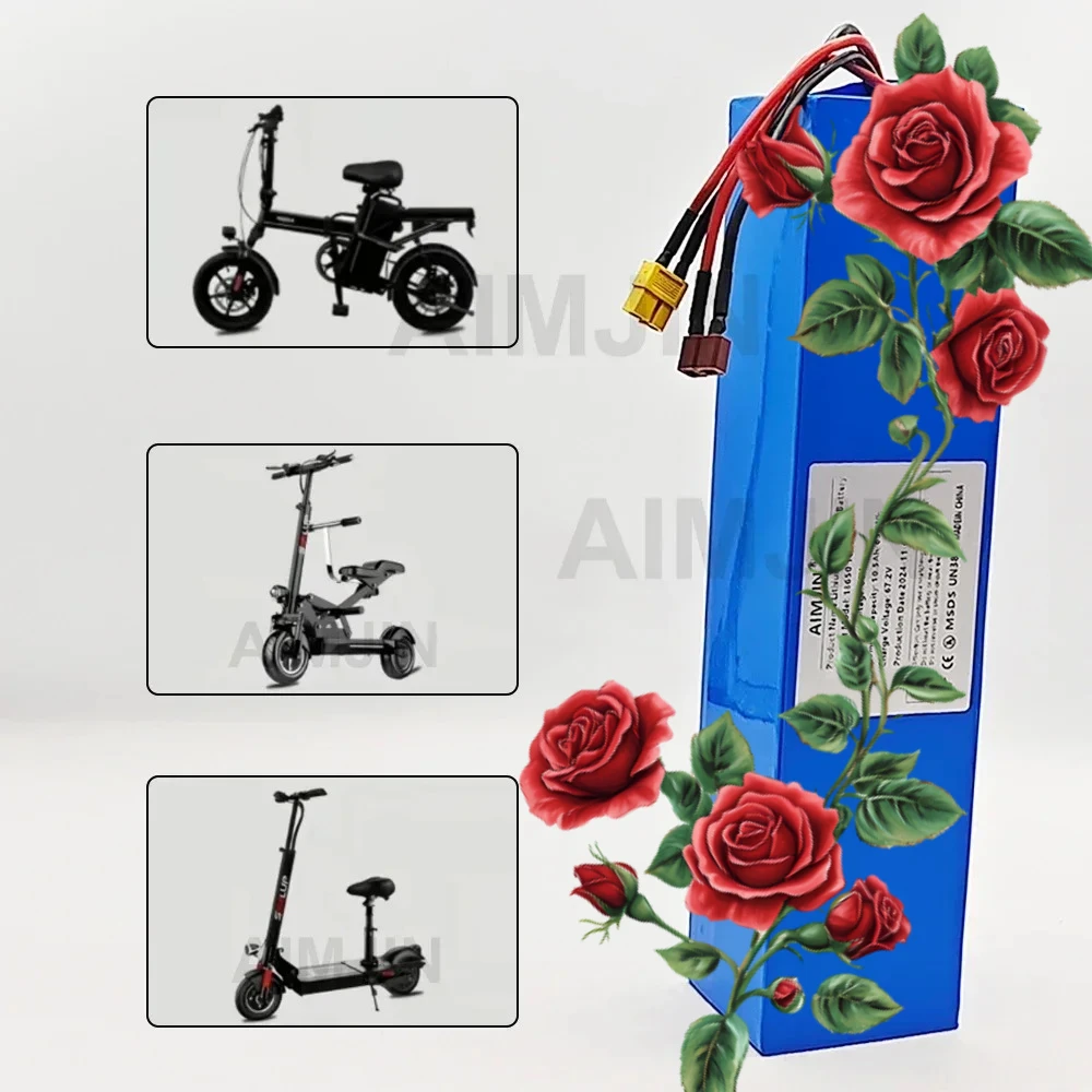 16S3P Lithium Batte… - image