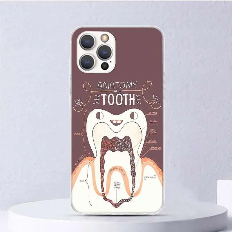 Wisdom Teeth Dentist Tooth Soft Case For iPhone 16 15 Plus 11 12 13 Mini 14 Pro Max Apple Phone Cover X XS XR SE 7 8 SE Coque 11