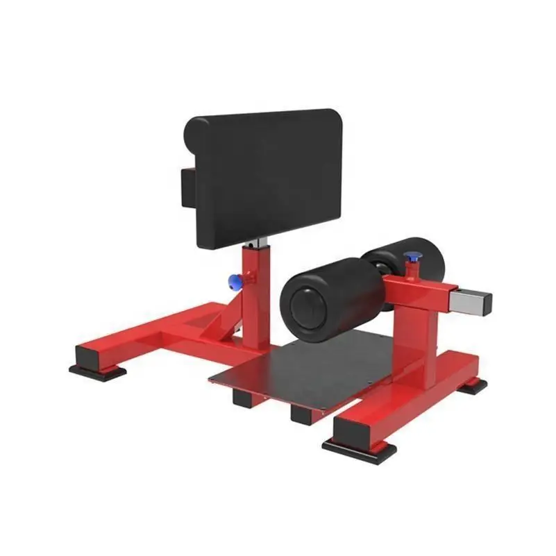 New Design Commercial Stainless Steel Sit up Multi Functional Safety Weight Lifting Bench Fitness Equipment