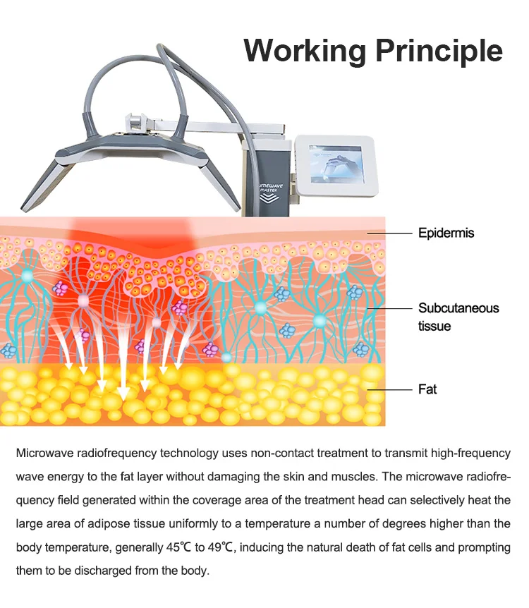 حرق الدهون معدات التجميل الكنتوري فقدان الوزن إزالة دهون البطن التخسيس تشكيل آلة آلة العناية بالجسم