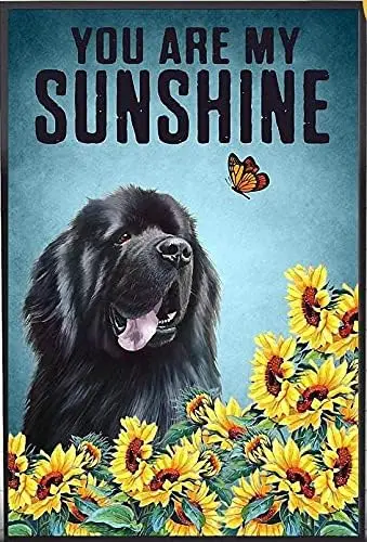 Retro Tin Sign Newfoundland Dog You are My Sunshine Metal Sign for Home Dorm Gym Wall Decor Idea Gifts for Family Friends 8 sign