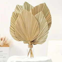 Dried Natural Flowers Palm Leaves Dry Palm Fan Window Reception Party Art Wall Hanging Decoration Wedding New 2024