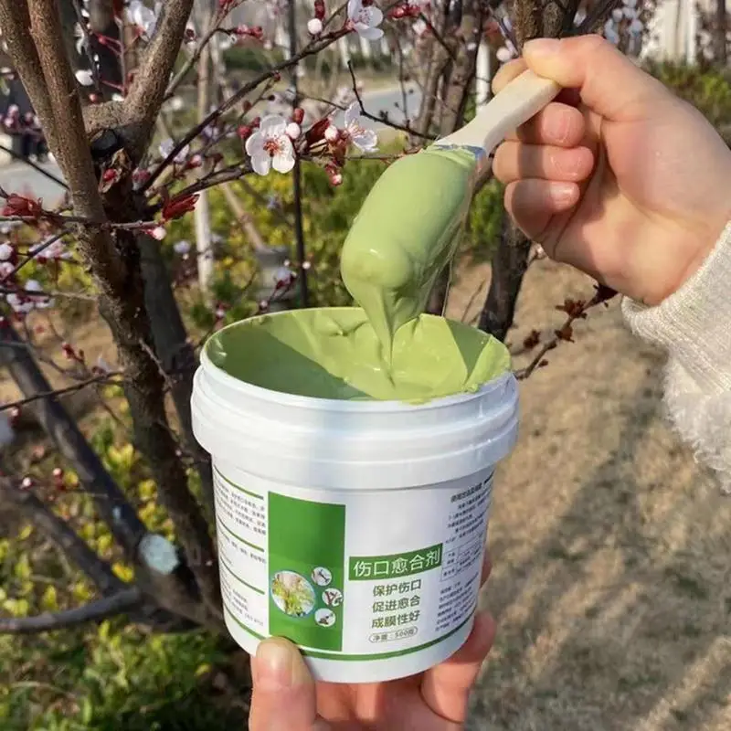 

Bonsai Cutting Paste Tree Wound Pruning Sealer Pruning Compound For Garden Plant Grafting And Wound Treatments Repair Tools