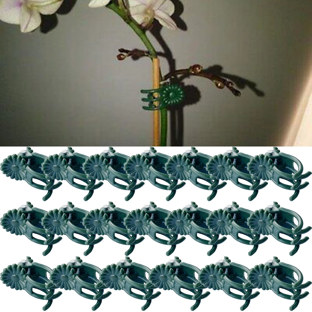 20 Orchid Clips Easy To Use And Remove Support Farm Flowers Fruit Tied Bundle Branch Clamping Gardening Tool Plastic Plant Fix