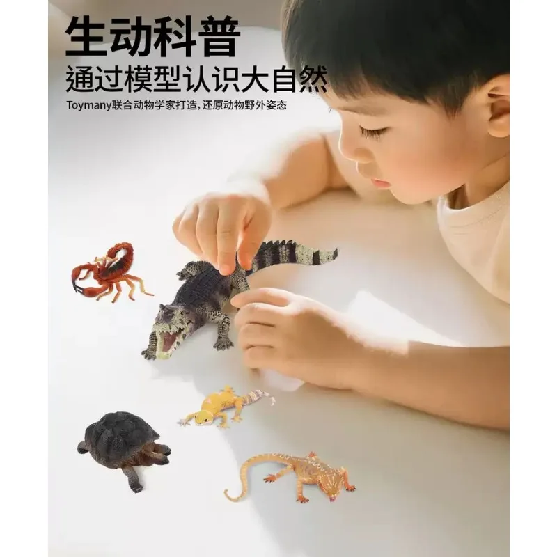 Realistic Reptile PVC Animal Figurine Set, Lizard Snake Turtle Mini Model Kit, Diorama Scene Accessory for Desktop Collection