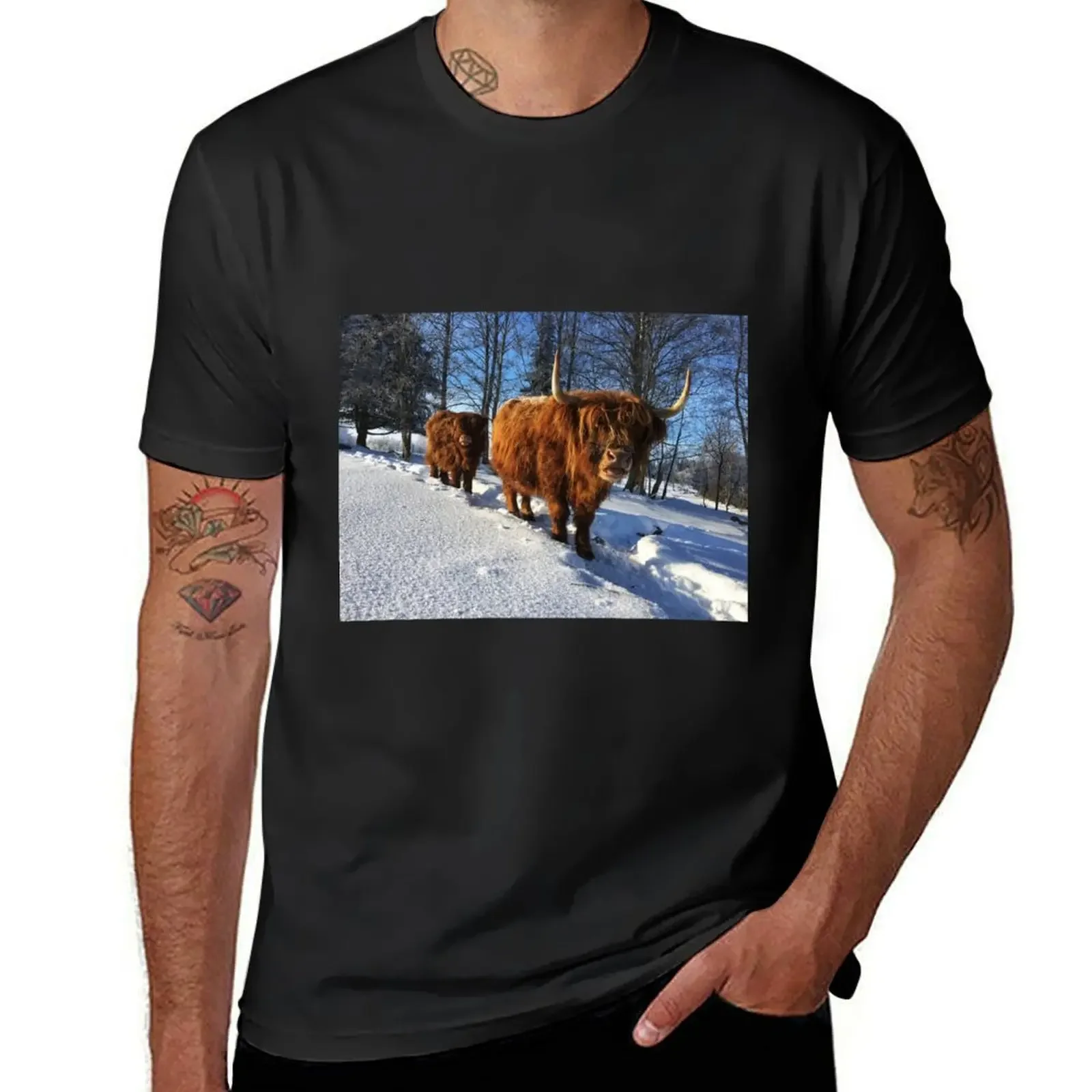 

Scottish Highland Cattle Cow and Calf 1688 T-Shirt tops quick-drying blacks plain black t shirts men