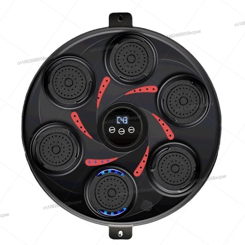 

New Smart Music Boxing Target Boxing Trainer Sports Fitness Home