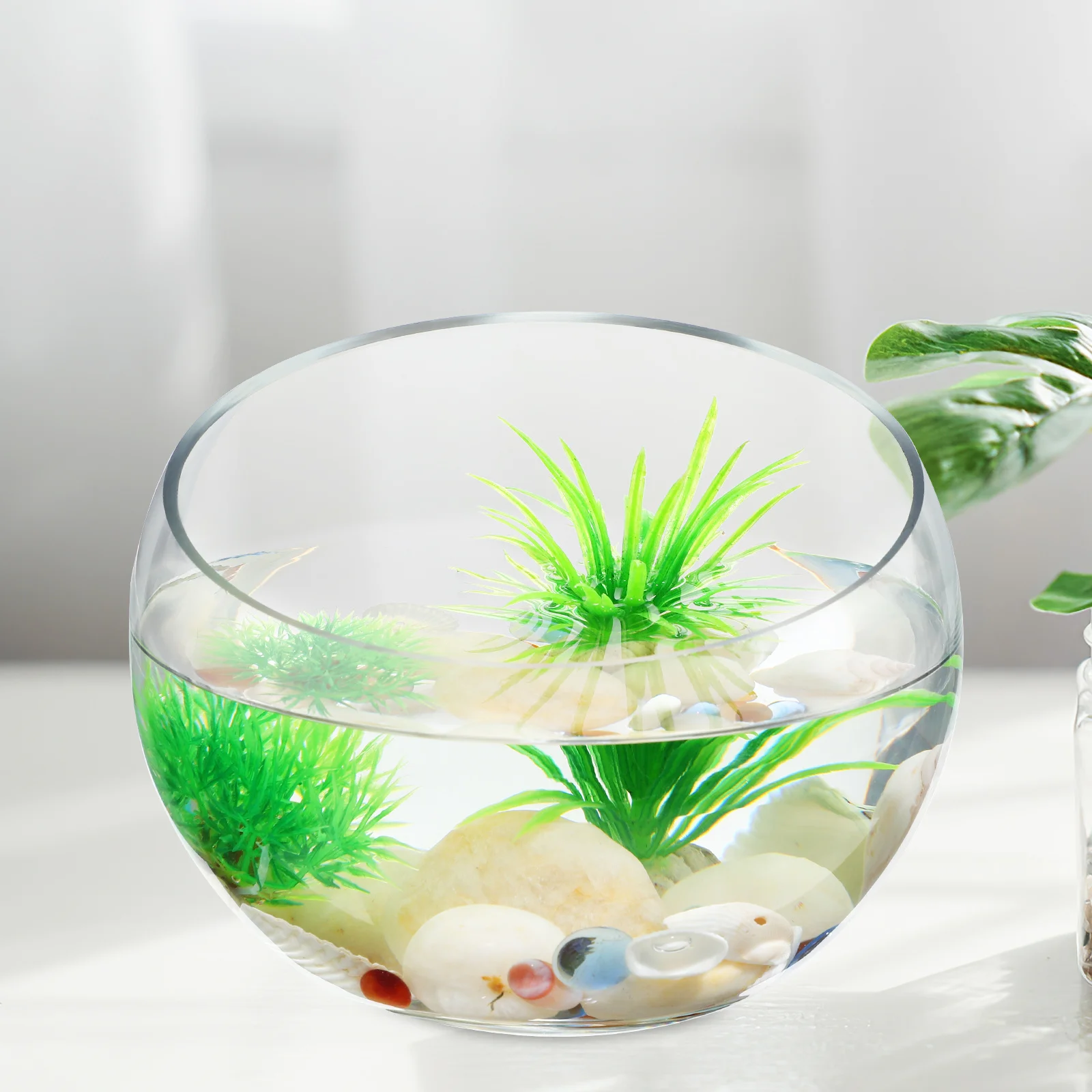 

2Pcs Succulent Hydroponic Planter Glass Vase for Small Plants Clear Round Bowl Decorative Fish Tank Terrarium Container