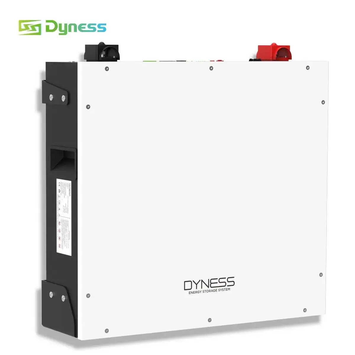 Hot Selling Dyness 51.2v 100ah 5.12kwh Wall Mounted Lithium Battery with 6000 Cycles Life DL5.0C Low Voltage Solar Batteries