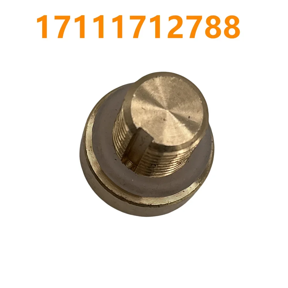 عالية الجودة 1/2 قطعة 17111712788 المبرد توسيع خزان النازف المسمار لسيارات BMW E36 E39 E46 ميني كوبر خزان المياه أنبوب الإرجاع ﻿