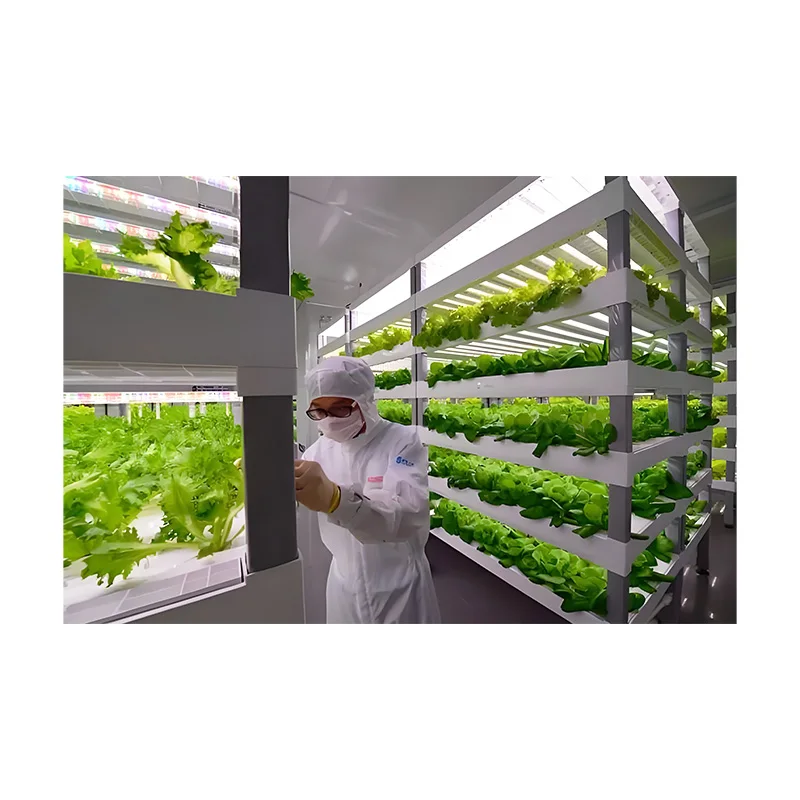 Factory Price 40HQ Fully Automated Container Vertical Container  Agricultural Greenhouses Vertical farming Hydroponics System