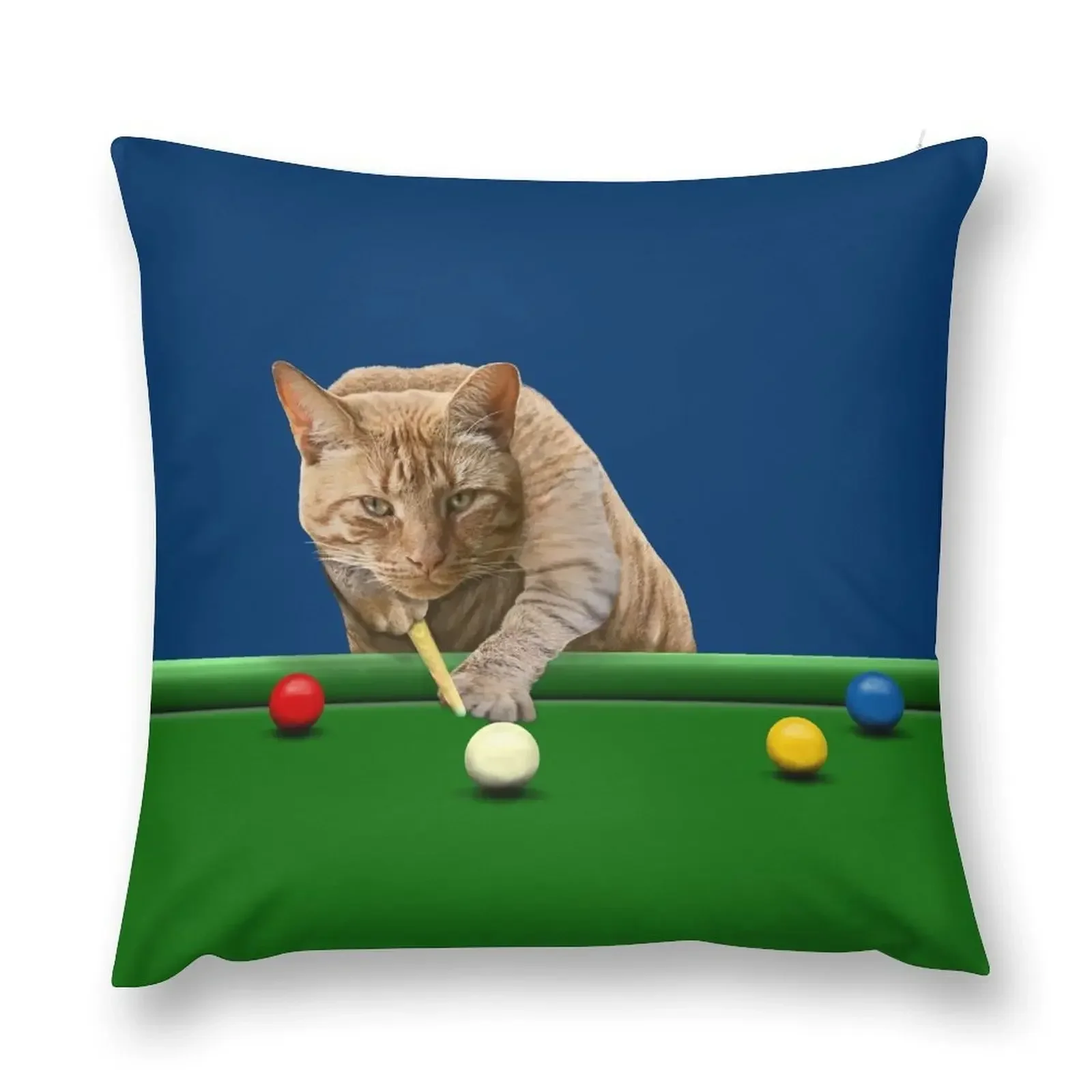 SNOOKER CAT Throw Pillow luxury decor anime girl Bed pillowcases pillow