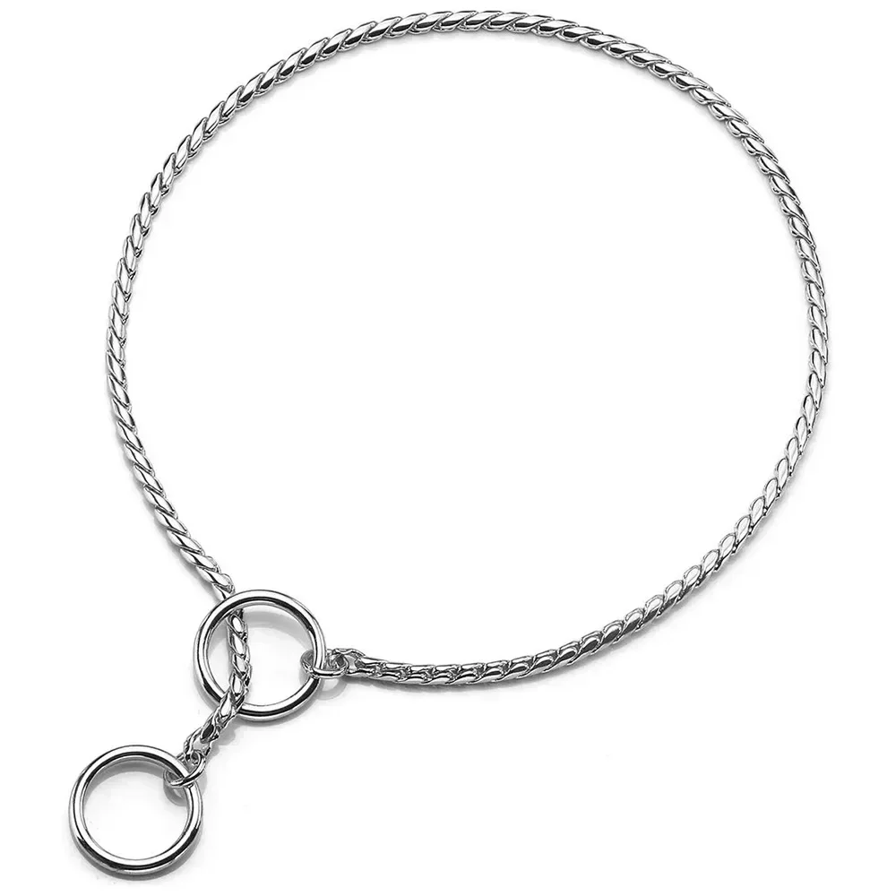Brass Snake Chain Show Collar 4