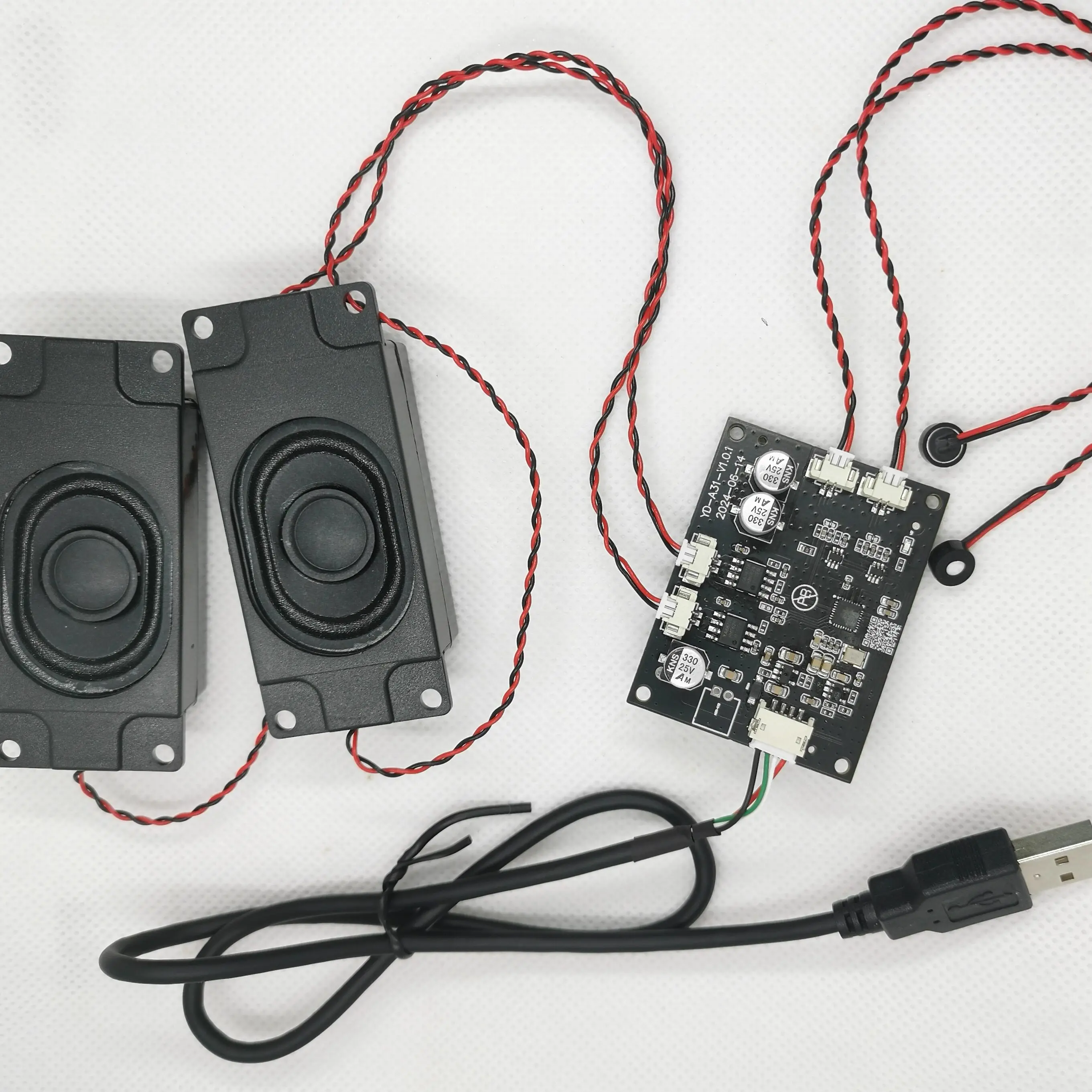 USB Two Microphones with Echo Cancellation and Noise Reduction