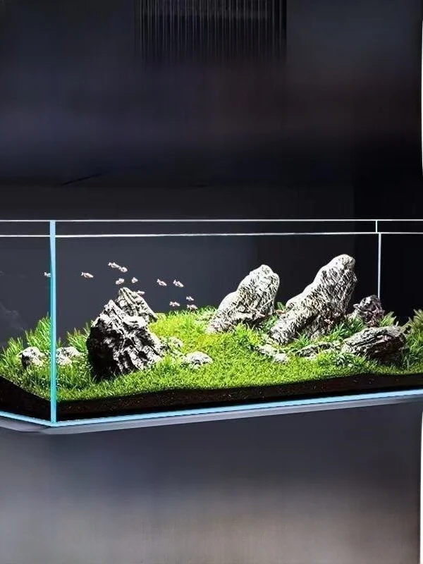 acquario-in-vetro-ultra-bianco-jinjing-vasca-rettangolare-per-tartarughe-acquario-per-pesci-domestici-da-soggiorno-grande-medio-piccolo-per-acquario-a-tema-foresta-pluviale