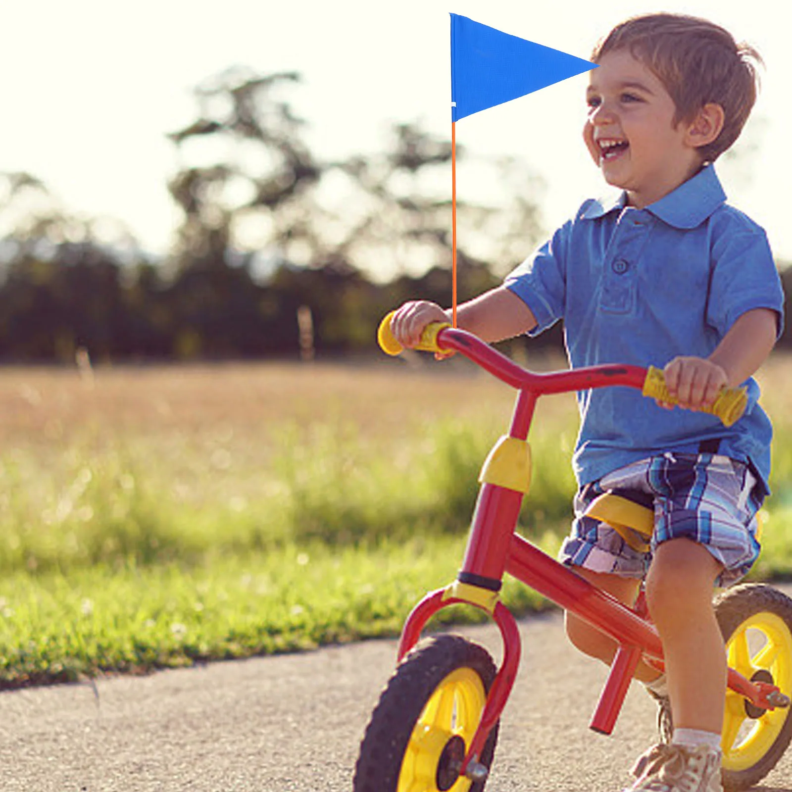 

2 Sets Bike Flags Blue Red Safety Toddler Cycling Warning Flag Pole Outdoor Golf Decor Lightweight Compact Storage