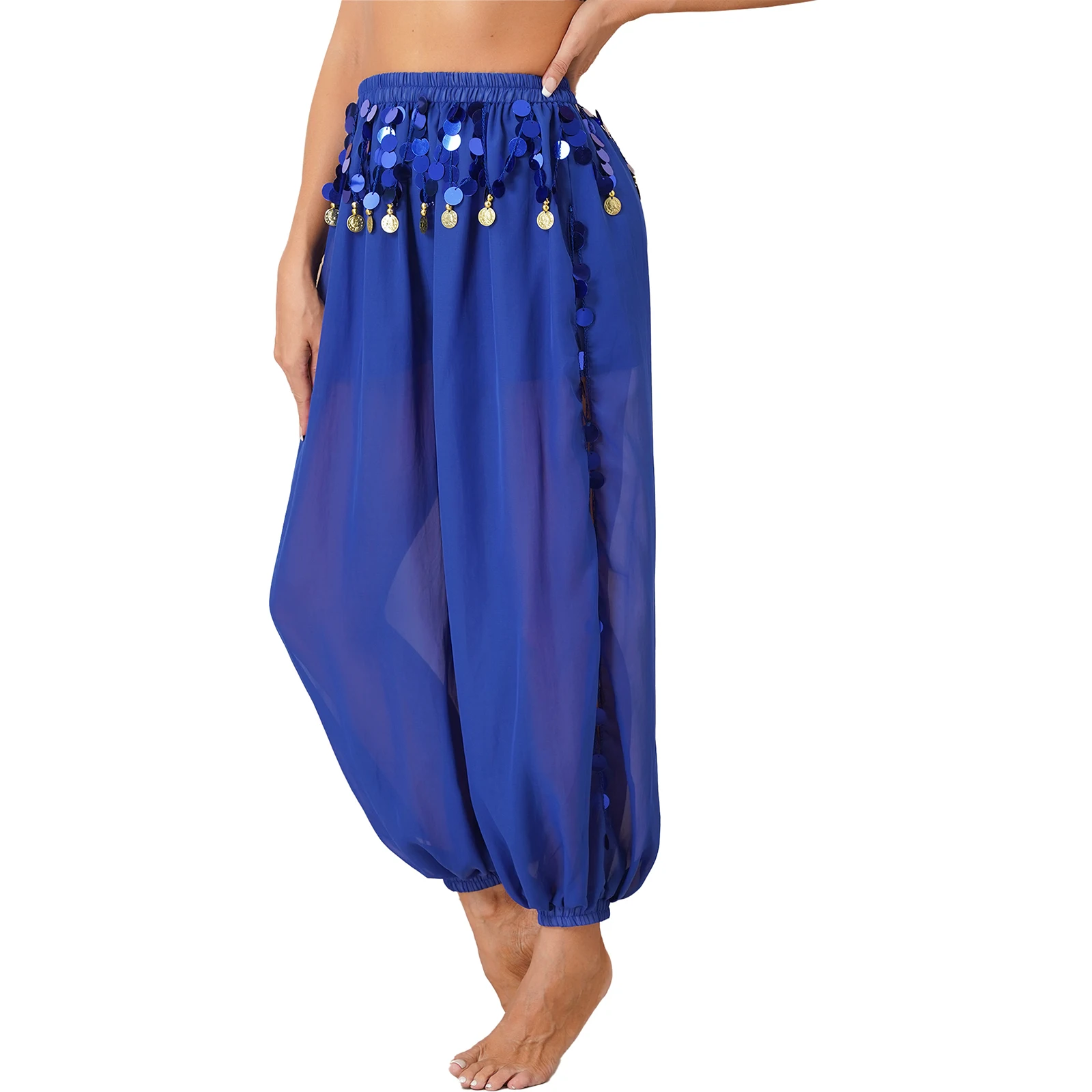Womens Tribal Belly Dance Harem Pants Arabic Dance Performance Loose Pants Halloween Carnival Costume Sequin Tassel Trouser