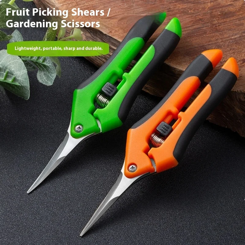 

Stainless Steel Pruning Shears for Grapevine Tree Garden Floral Art Pruning Scissors Fruit Harvest Outdoor Gardening Tools
