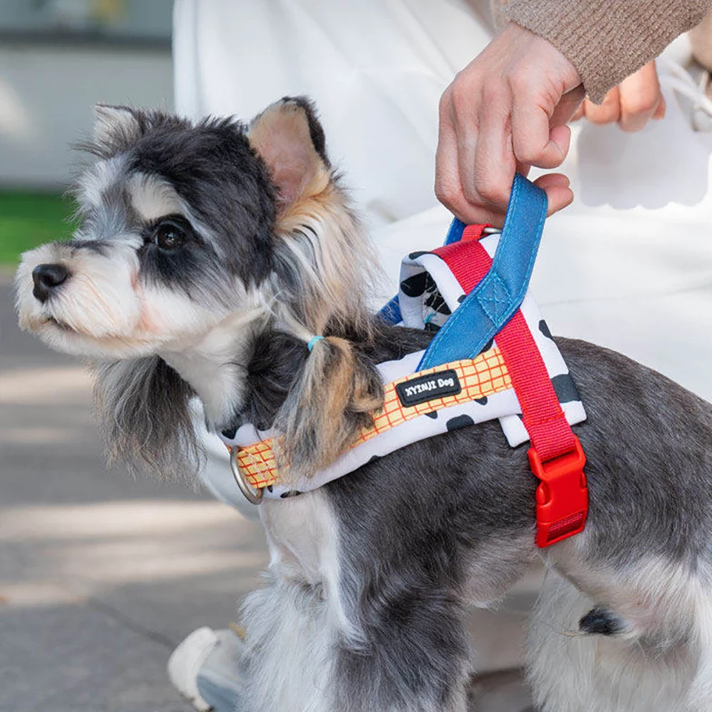 Dog Harness and Leash Set,Saddle Style Plaid Adjustable Puppy Vest for Dog Walking Outdoor