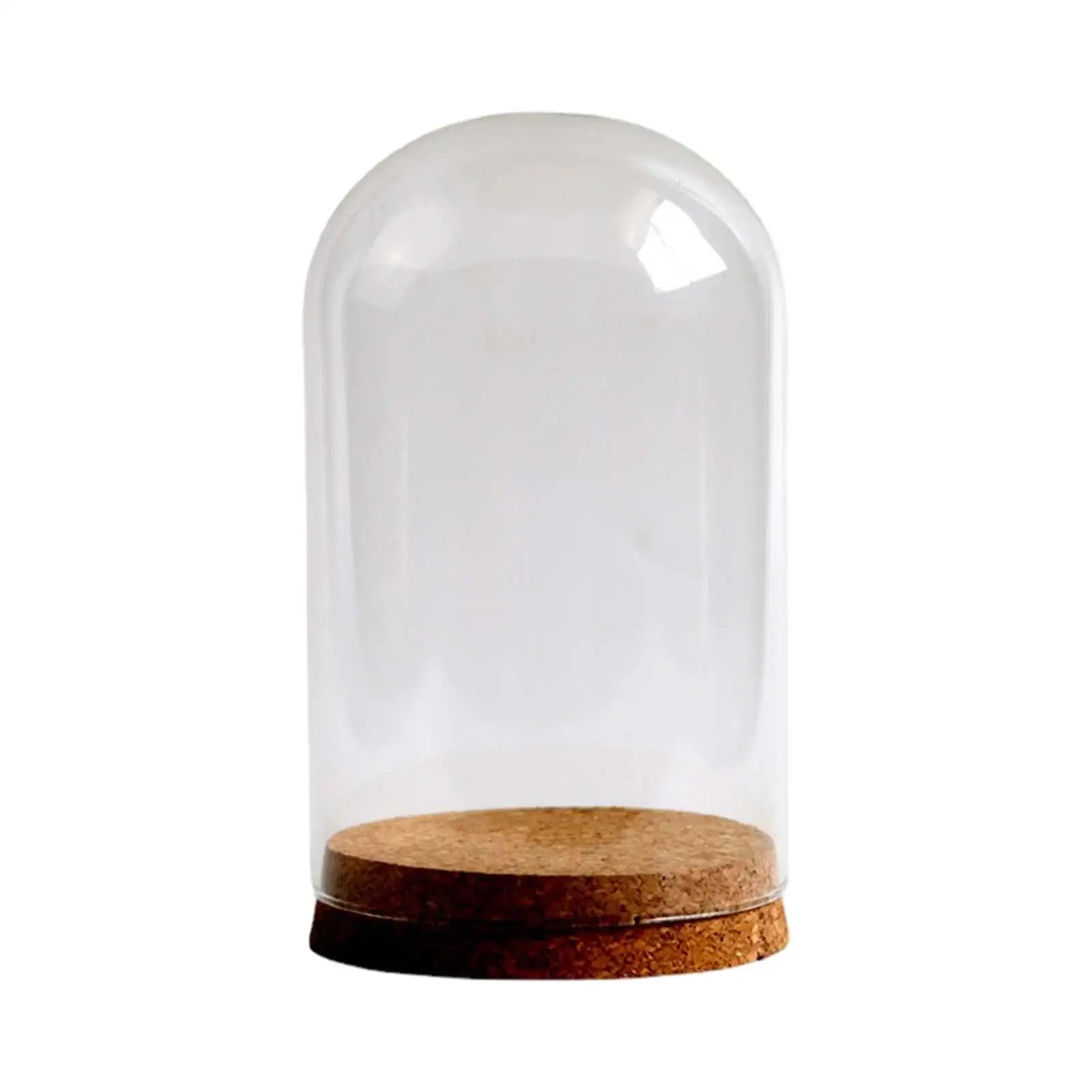 Dustproof Clear Glass Dome Cloche for Flower Arrangement with Wood Stand Display Case Home Office Decor