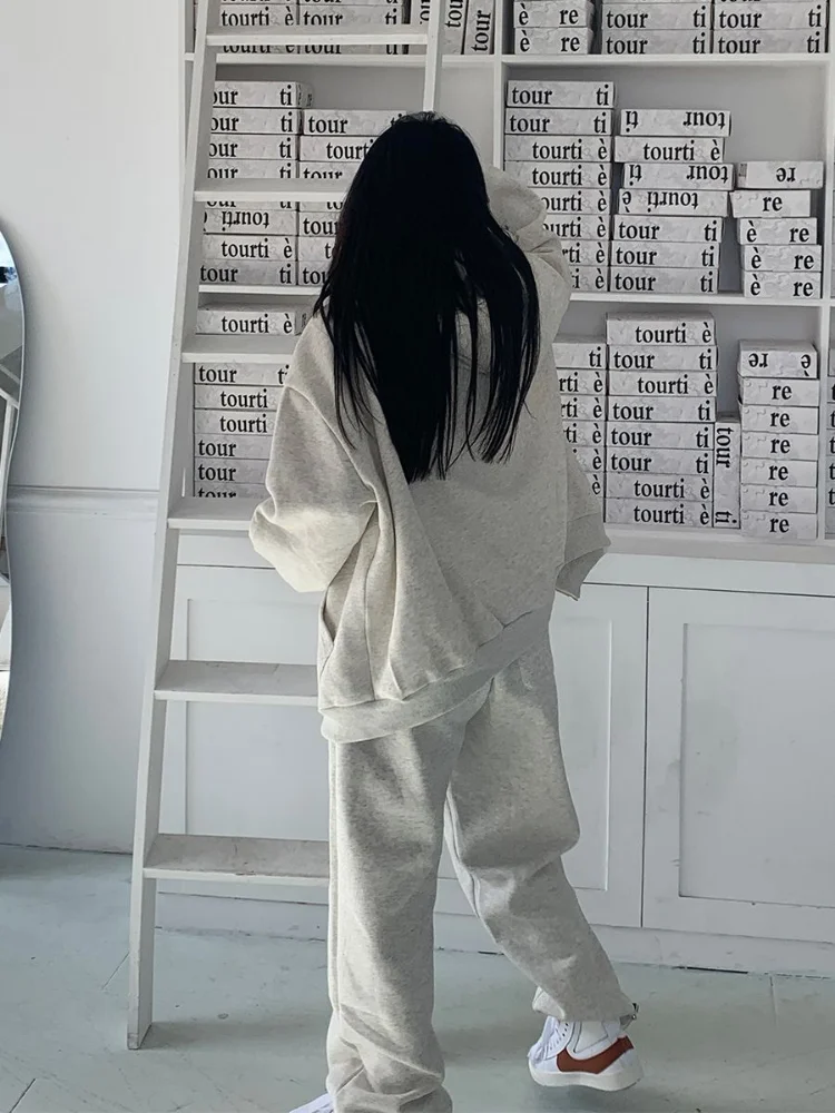 Sweats à capuche surdimensionnés pour femmes, salle de bain, salle de bain, salle de bain, salle de bain, U, Hip Hop, gris, pantalon, coréen, PVD,