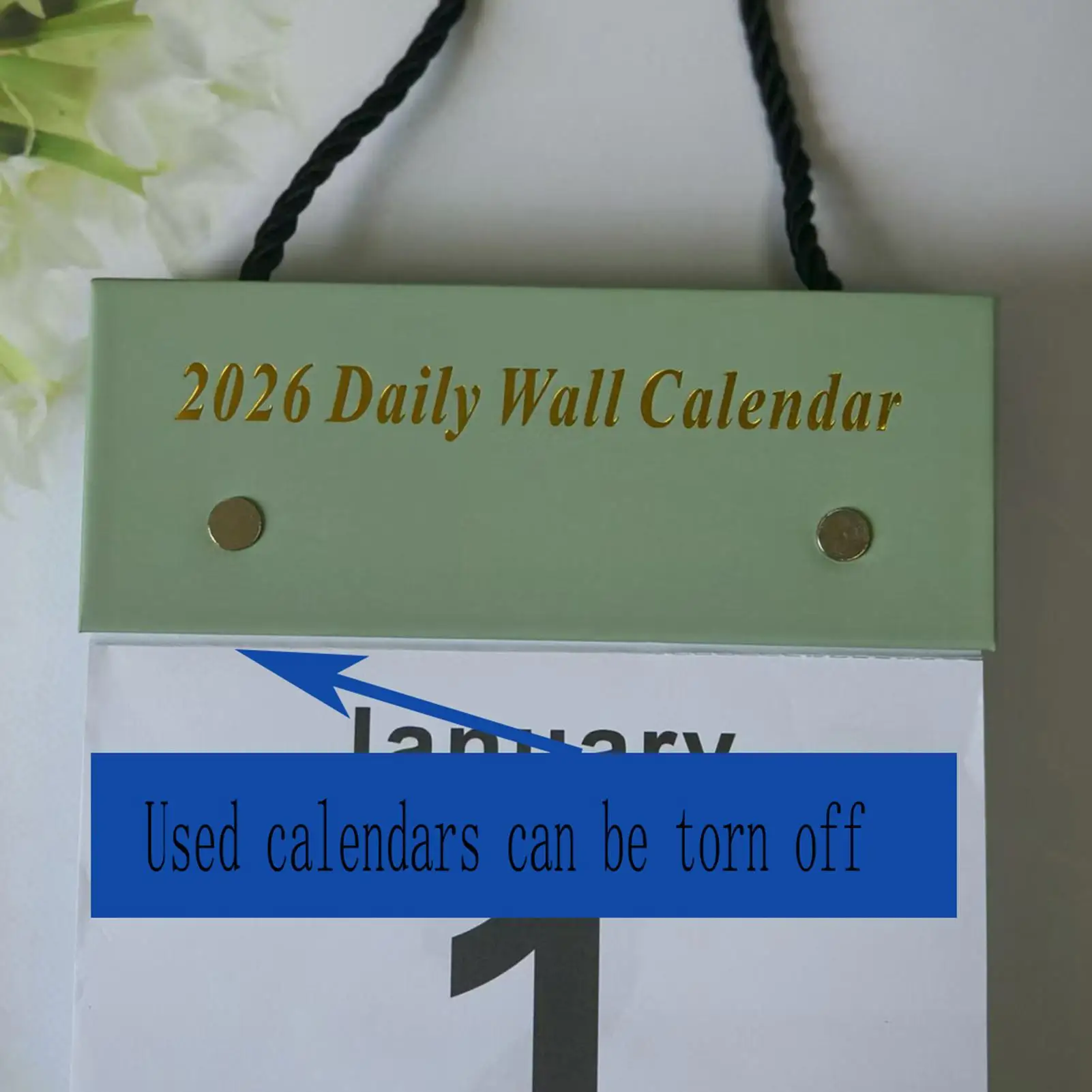 wall-daily-calendar-tear-off-thick-paper-whole-year-desk-wall-daily-calendar-for-students-kids-teens-adults-teachers-friends