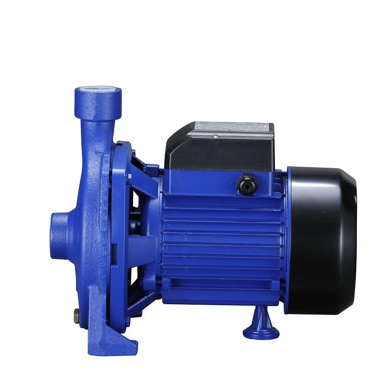 Electric Horizontal Centrifugal Clean Water Pump Farm Irrigation Water Transfer Pump