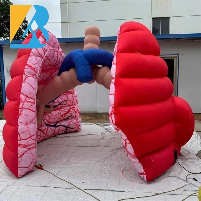 

Персонализированное образовательное шоу, гигантский надувной дизайн с сердечками для игрушки на тематике алкоголя