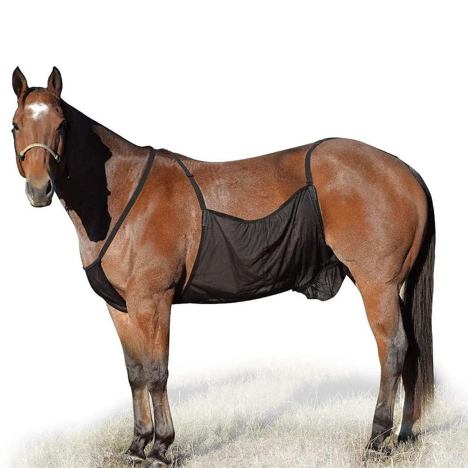 Protección de caballo para mascotas, cómoda red resistente para exteriores, Abdomen