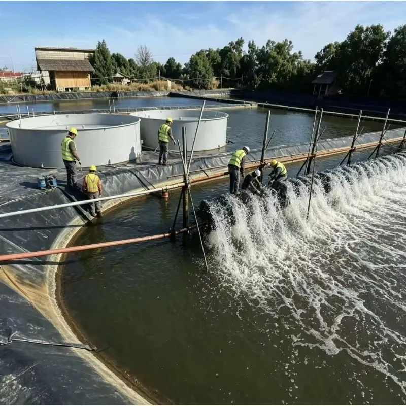 Customized HDPE Geomembrane Pond Liner for Fish Farm Reservoir Landfill Mining and Anti Seepage Projects Worldwide