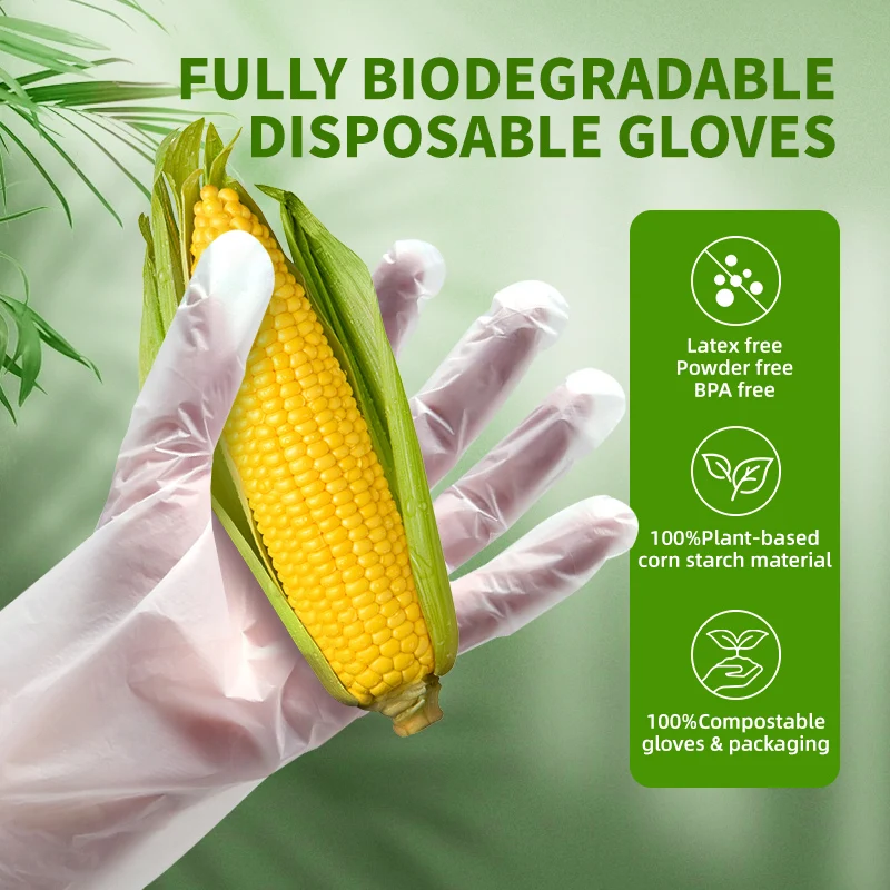 XYEHS 100/200 Pcs Fully Biodegradable Disposable Gloves Compostable Food Prep Gloves Powder-Free for Household Cooking Food Safe