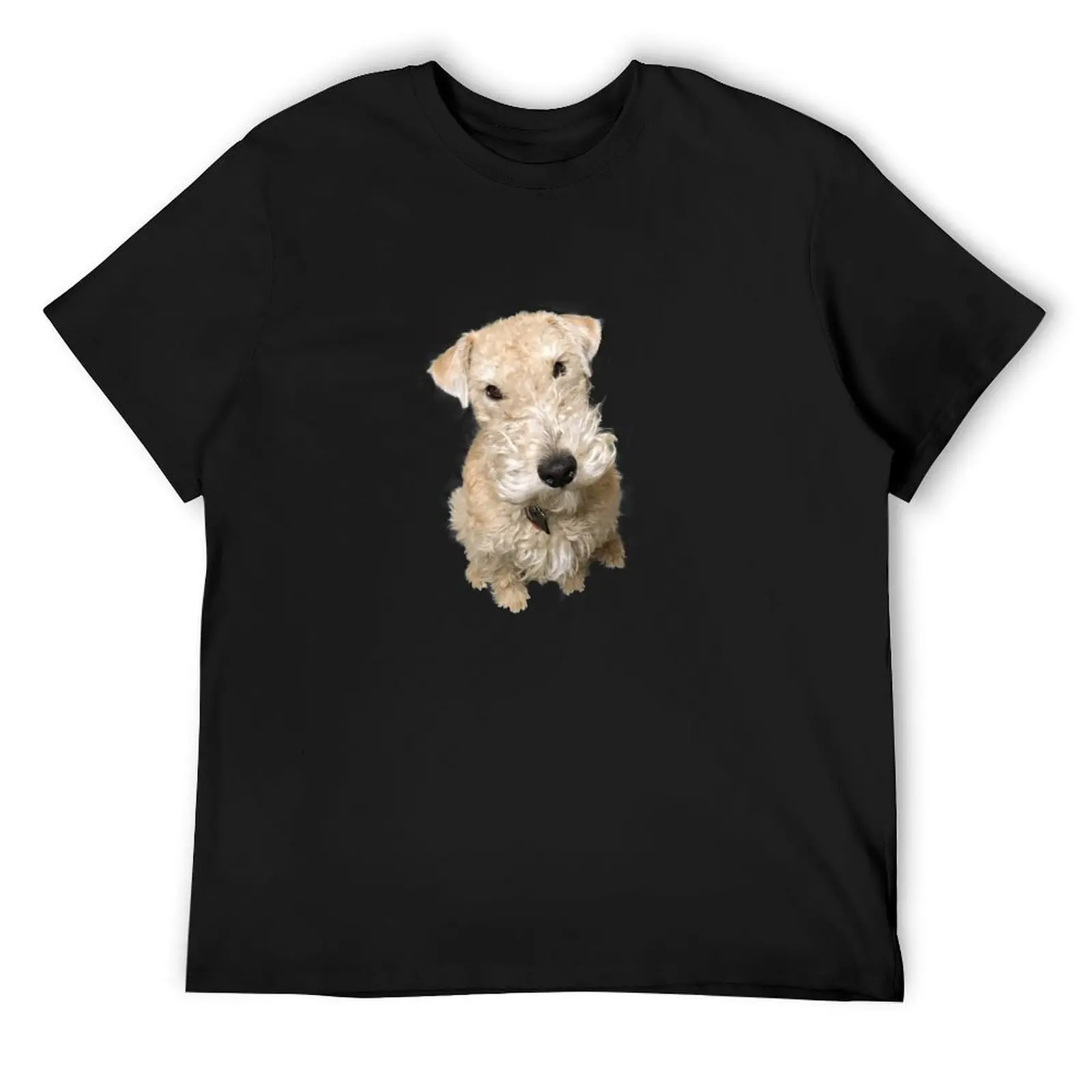 

Peekay the Lakeland Terrier T-Shirt shirts graphic tee plus size clothes sweat shirts, men