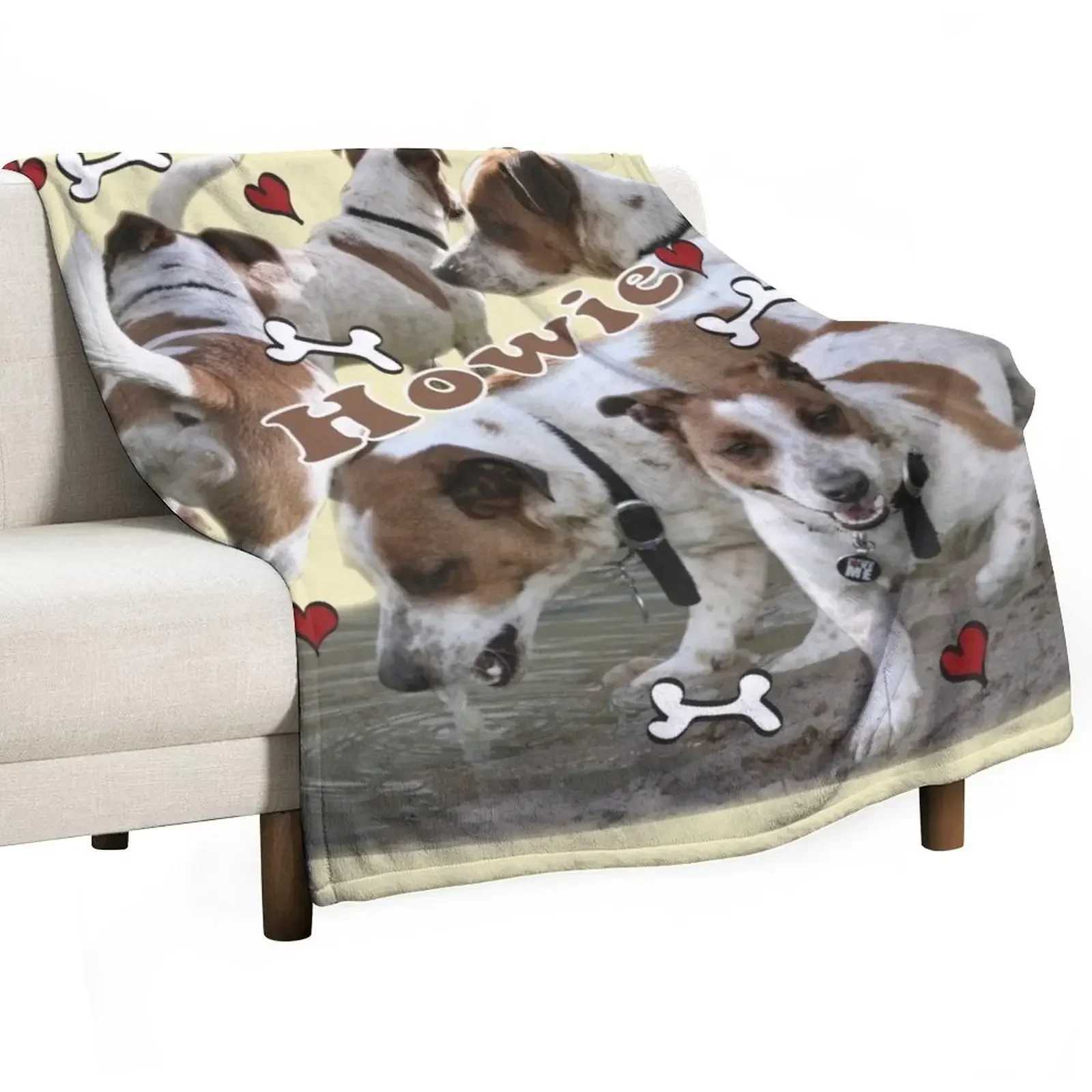 

Howie Throw Blanket Luxury Brand Furrys bed plaid Decorative Throw Blankets