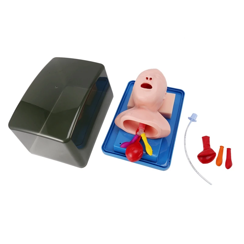 Neonatal Tracheal Intubation Model Analog Double Lung And Stomach Expansion Child Tracheal Intubation Training Model