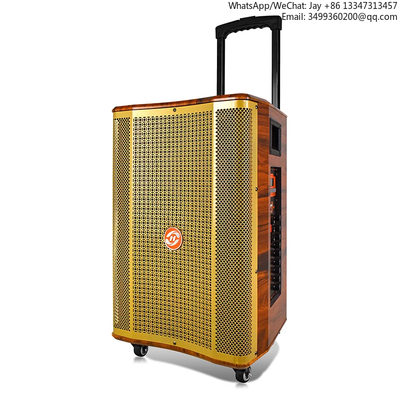 

Latest Gold 15 Inch Speaker Big 100W TWS Woofer With Wireless Microphone SpeakerTop-selling In 2026