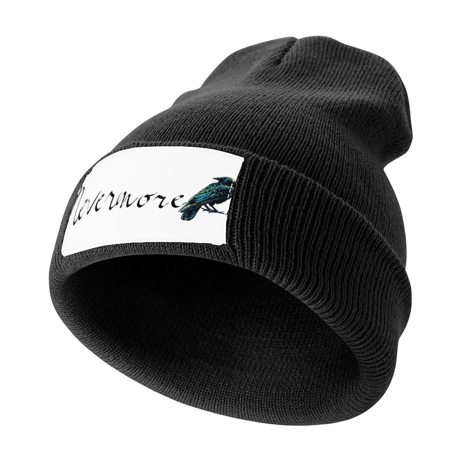 Edgar Allan Poe - Nevermore Knitted Cap funny hat cute Wild Ball Hat Golf Women Men's