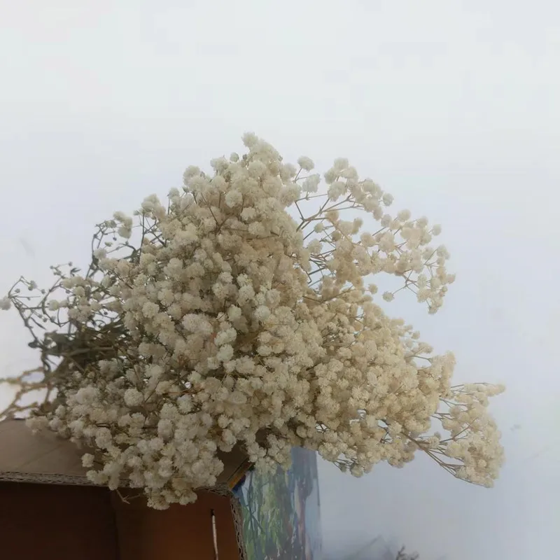 75g/Lot White Gypsophila Wedding,Living Room,Store Decoration Free Shipping High Quality Dried Flowers Natural Bouquets