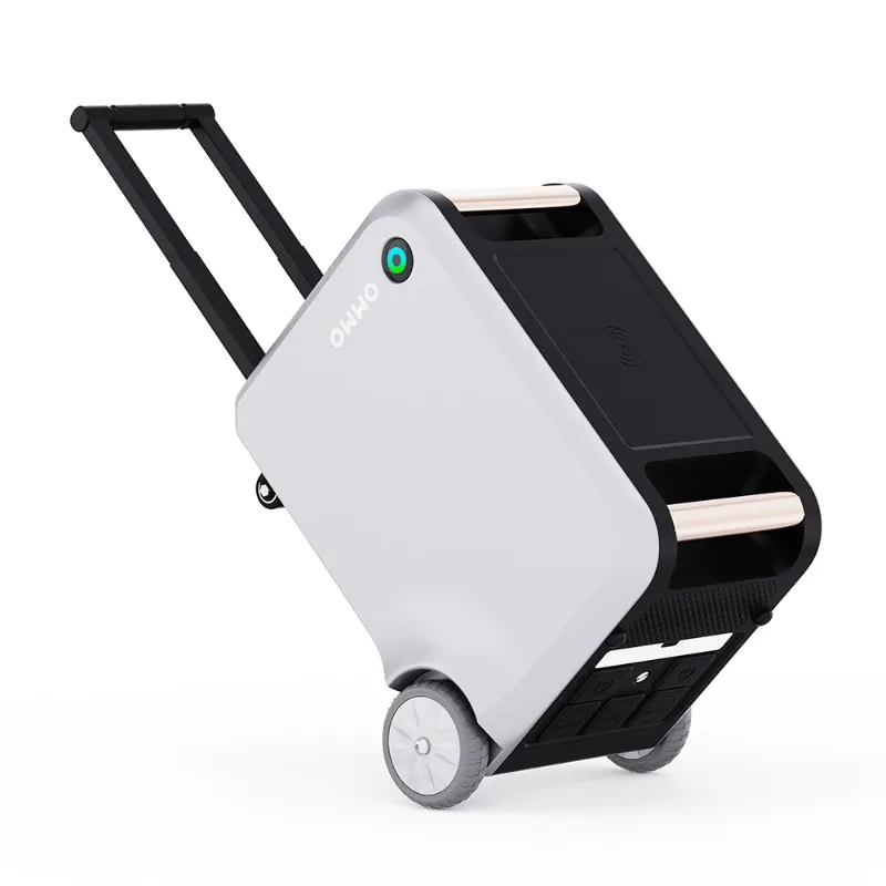 

[Hot Sale] 110-230V Portable Power Stations Solar Rechargeable Lithium Iron Phosphate Battery Solar Powered Generator With Sola