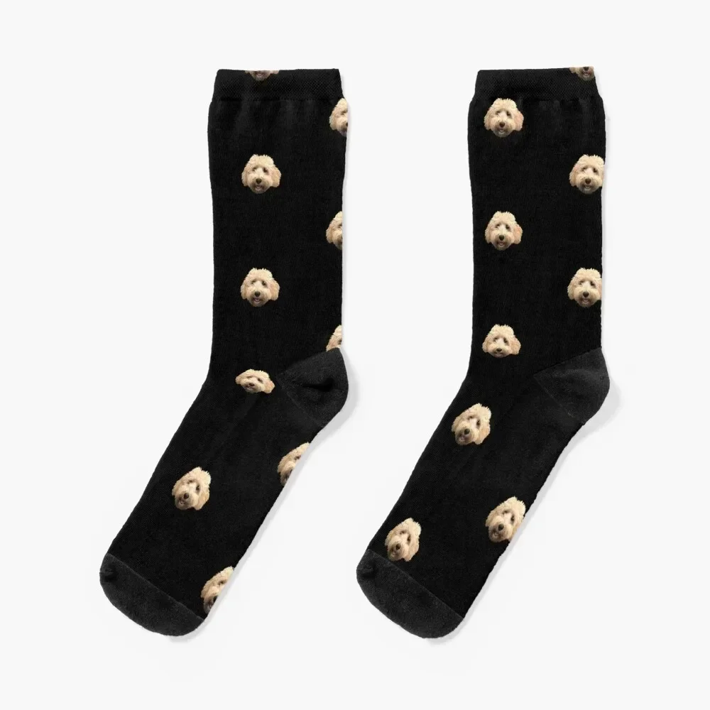 Rosie the Goldendoodle Black Socks kawaii summer Novelties anti slip football Luxury Woman Socks Men's