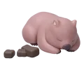Sleeping near poo