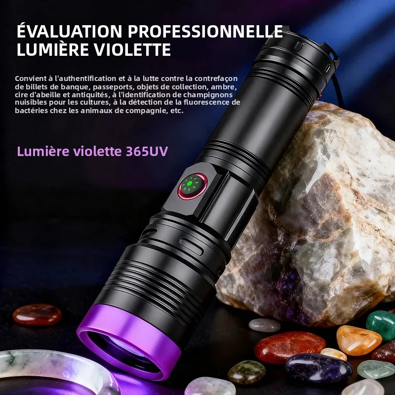30W 365nm/395nm lampe de poche UV haute puissance durcissement aux ultraviolets Scorpion minerai d'argent Scorpion chat taches d'urine pour animaux de compagnie marqueur lampe