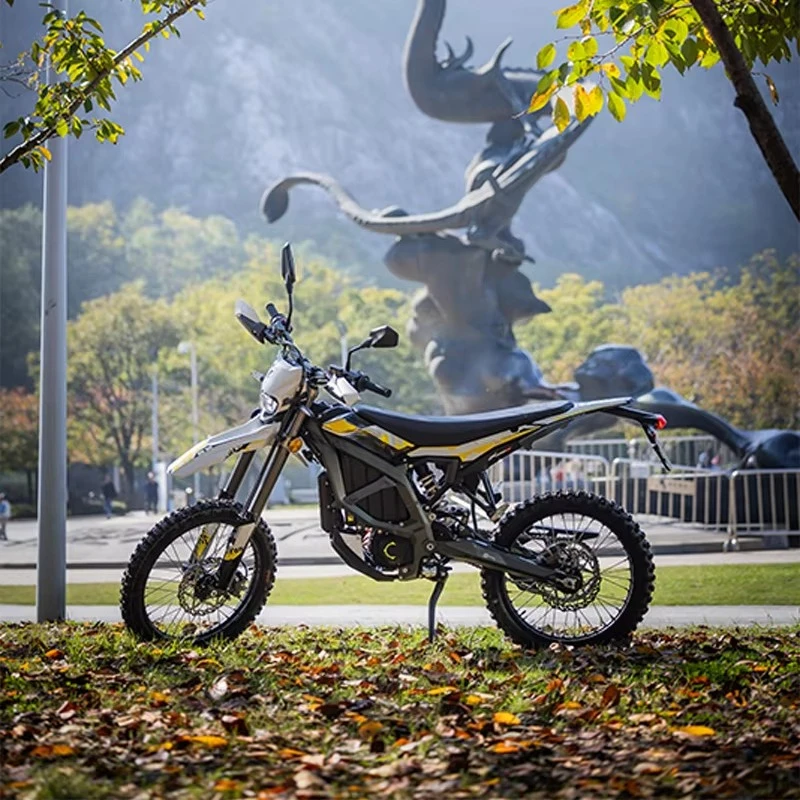 

SXLL Ultra B 3-speed central motor steel frame electric off-road vehicle 12500W mid-drive, road legal
