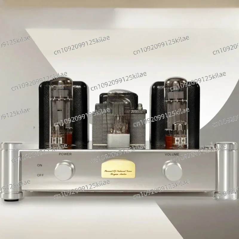 Reisong Boyuu A10 EL34 Tube Amplifier  HIFI EXQUIS Single-Ended Class A Lamp Amp BYA10H