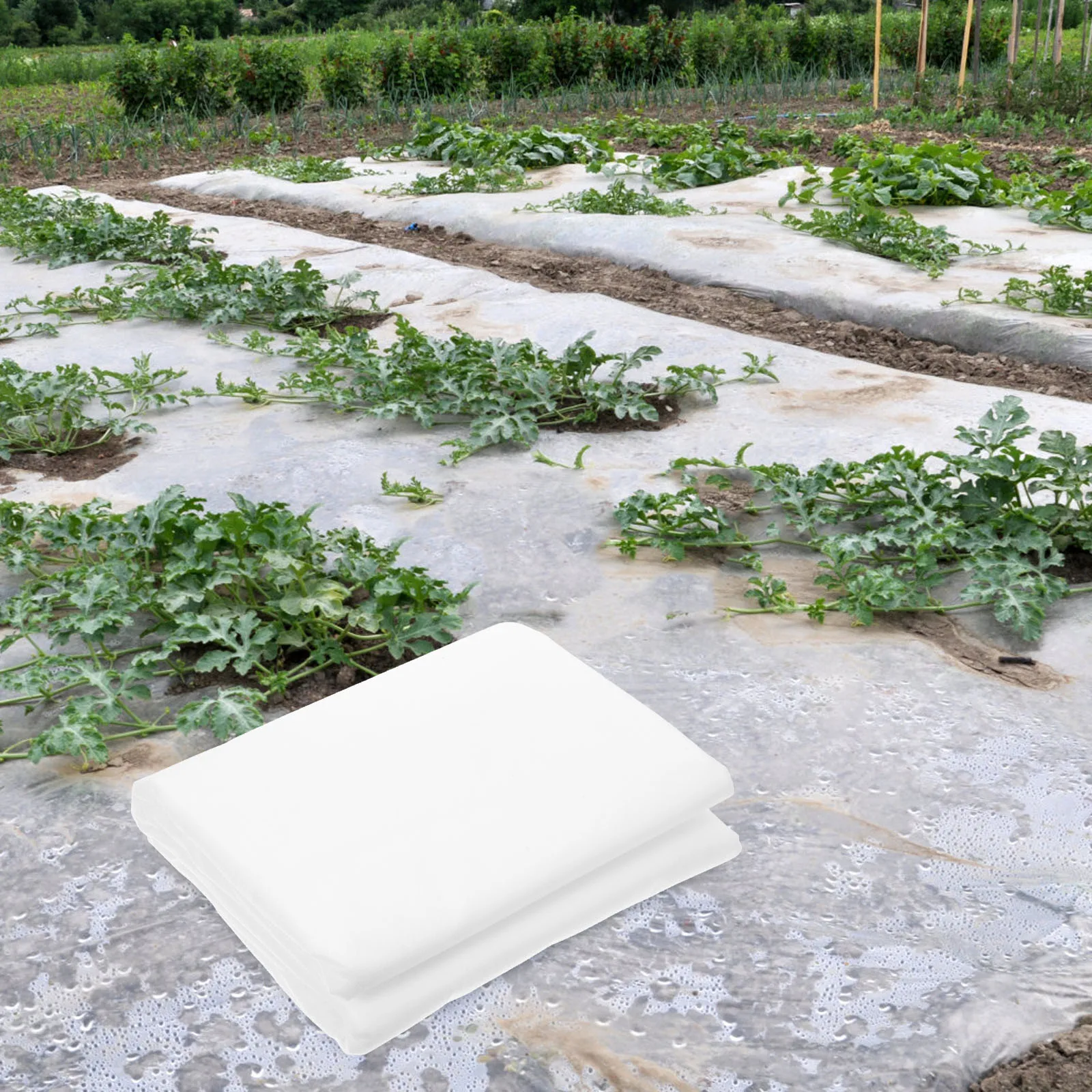 

Freeze Cover Plants Blanket for Insulation White Non-woven Fabric Frost Covers Outdoor